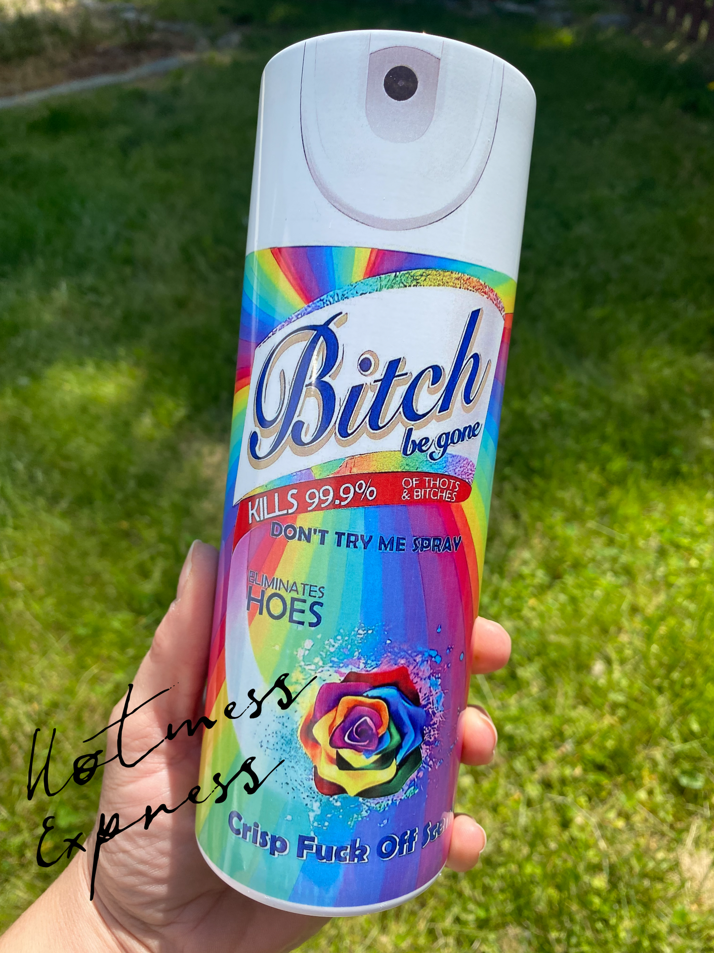 Bitch Be Gone Spray Holographic Skinny Tumbler