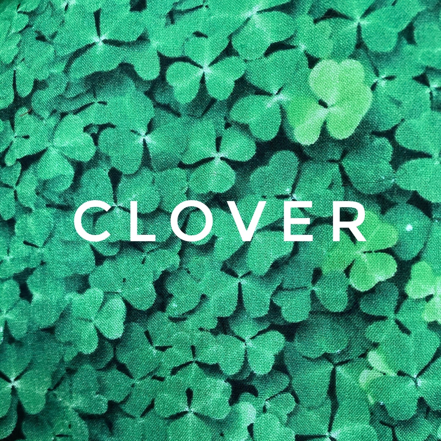 Clover Double LayerFace Mask